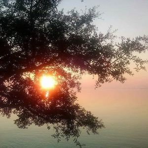 Meet your Posher, Addison